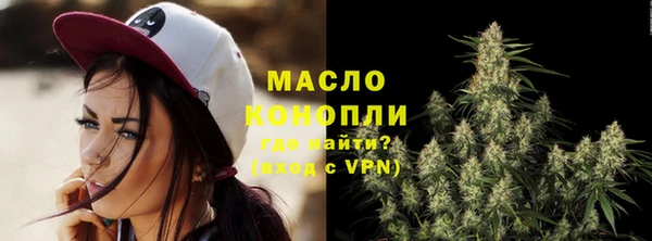 гидра Осинники