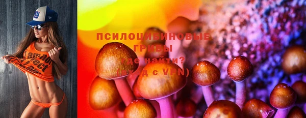 ешки Абинск