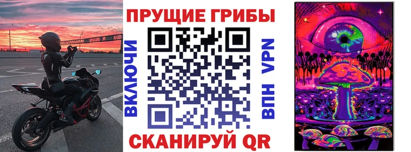 цены   сайты даркнета как зайти  Галлюциногенные грибы GOLDEN TEACHER  Мосальск  ссылка на мегу tor 